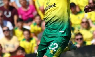 Wolverhampton Wanderers Norwich City Pronostico 23/02/2020 2